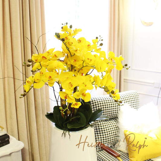 Orkid Premium Latex Pasu Tinggi Bell