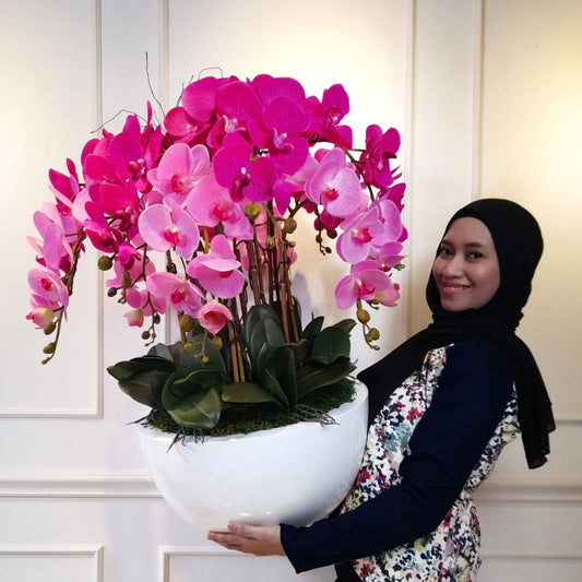 Orkid Premium Latex 5 Star