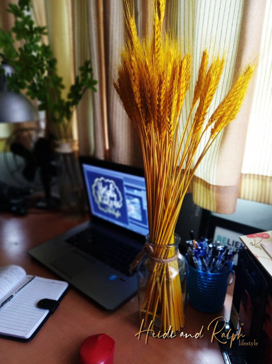 Dry Wheat (Yellow)